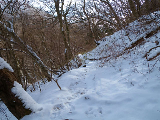 e0272335_1905180.jpg