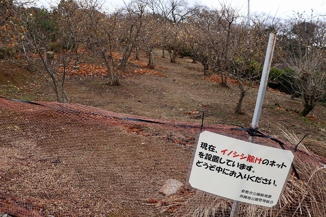 a0242438_22273201.jpg