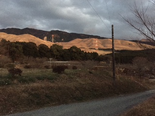 d0009738_430135.jpg