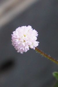 c0192740_19523569.jpg