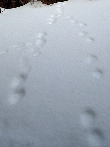 f0214649_1632561.jpg