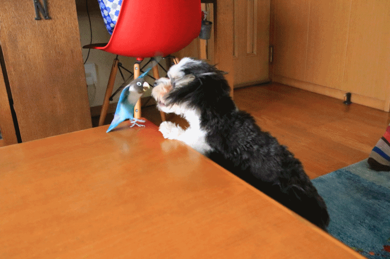 c0145250_09500453.gif