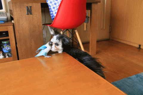 c0145250_09513682.gif