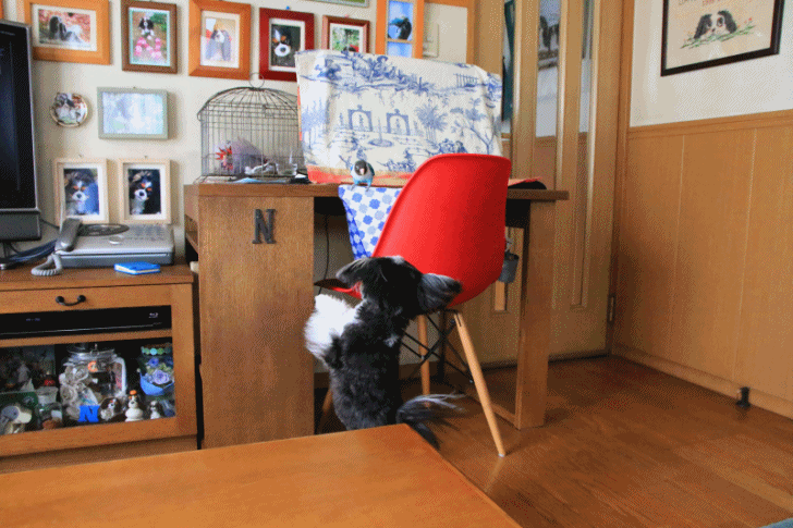 c0145250_09514293.gif