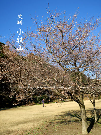 a0286855_06261225.jpg