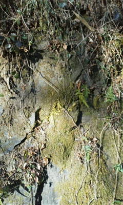b0105259_2095057.jpg
