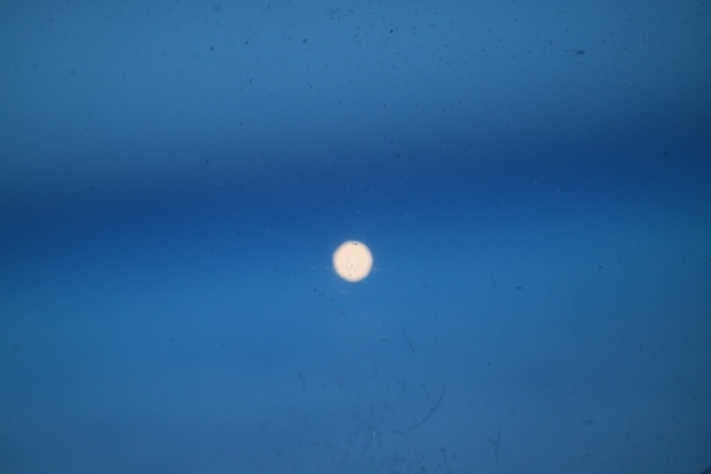 f0345263_22401731.jpg