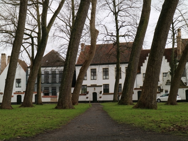 f0345263_23335912.jpg