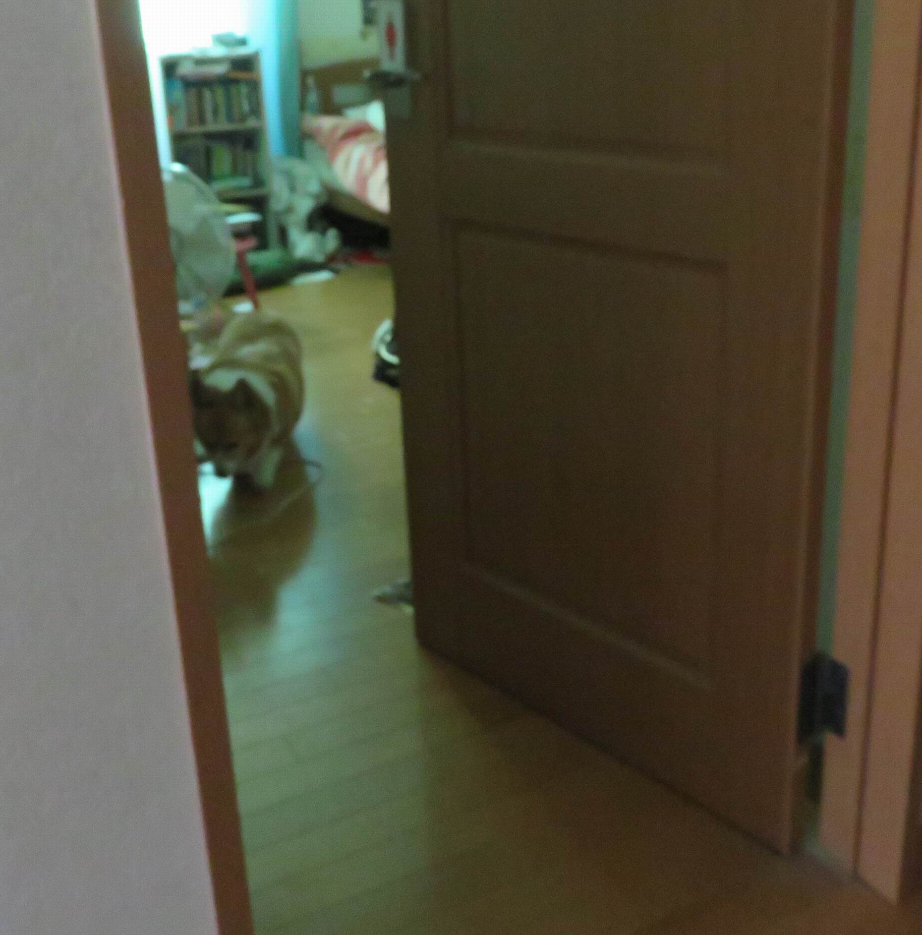 b0028270_234529100.jpg