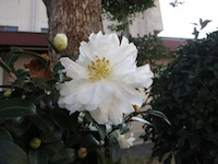c0117570_1643511.jpg
