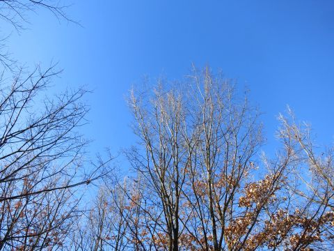 f0047773_18102722.jpg