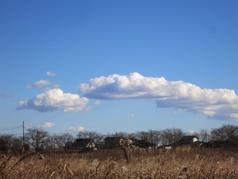 f0047773_18111231.jpg
