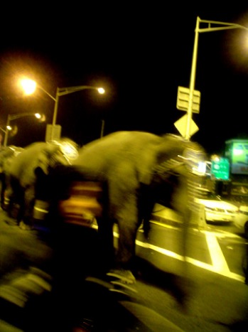f0056476_16164028.jpg