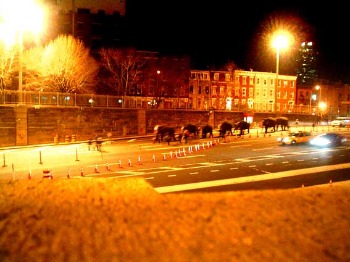 f0056476_16181729.jpg