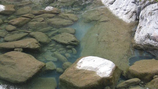 e0237580_1601495.jpg