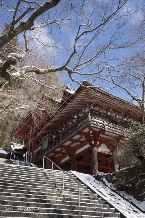 e0092186_2283132.jpg