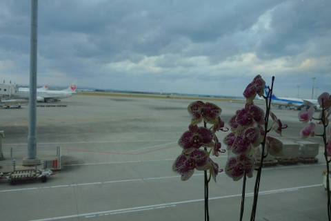 b0069604_09393798.jpg
