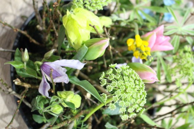 c0178009_12374540.jpg