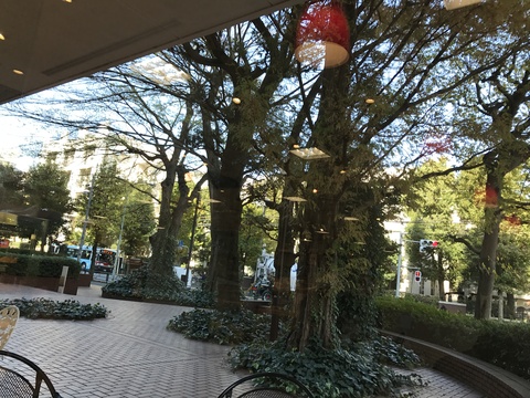 d0301016_20575647.jpg