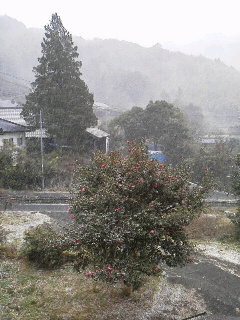 f0036223_19235045.jpg