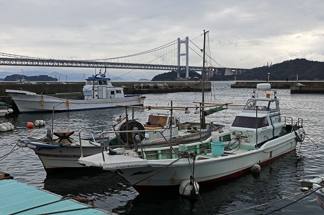a0242438_17424144.jpg