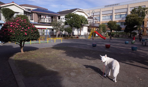a0117039_2251307.jpg