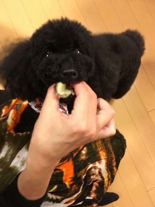 f0191444_12210545.jpeg