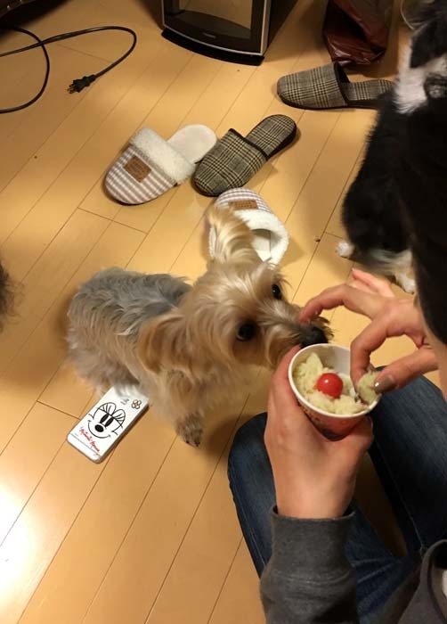 f0191444_12490577.jpeg