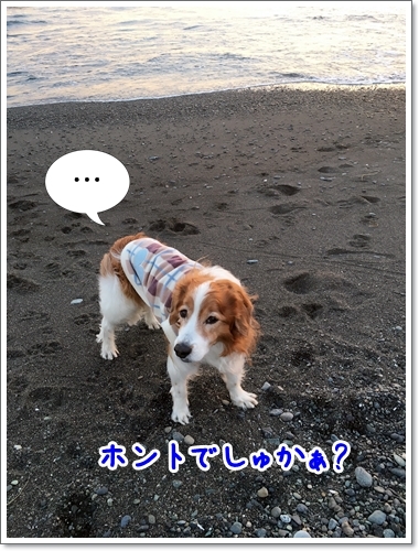 d0013149_00494990.jpeg