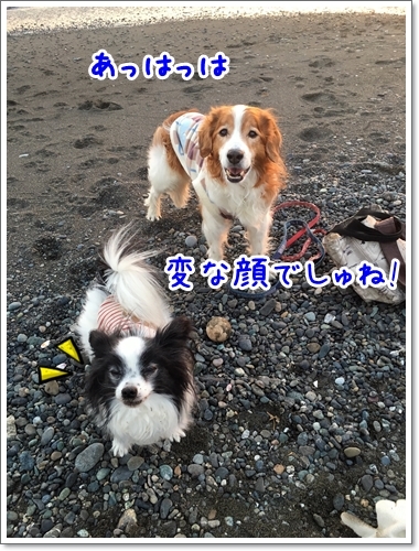 d0013149_00501796.jpeg