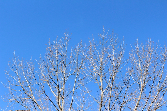 b0328557_22511168.jpg