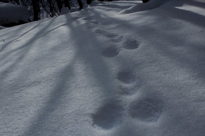 e0239458_21594321.jpg
