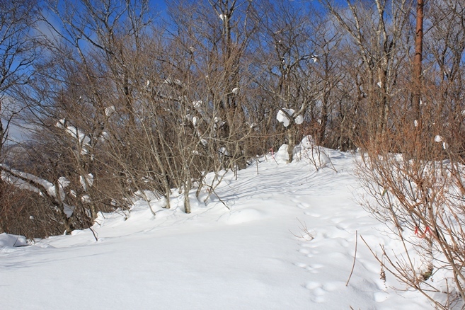 e0239458_22014810.jpg