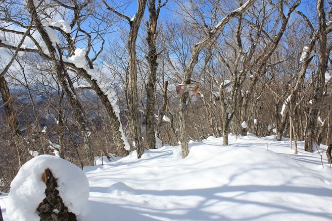 e0239458_22015309.jpg