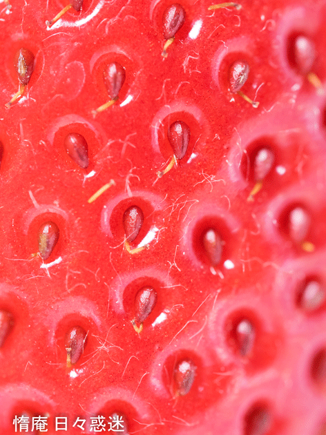 e0346064_15215470.gif