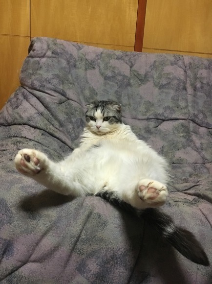 c0011300_22502735.jpeg