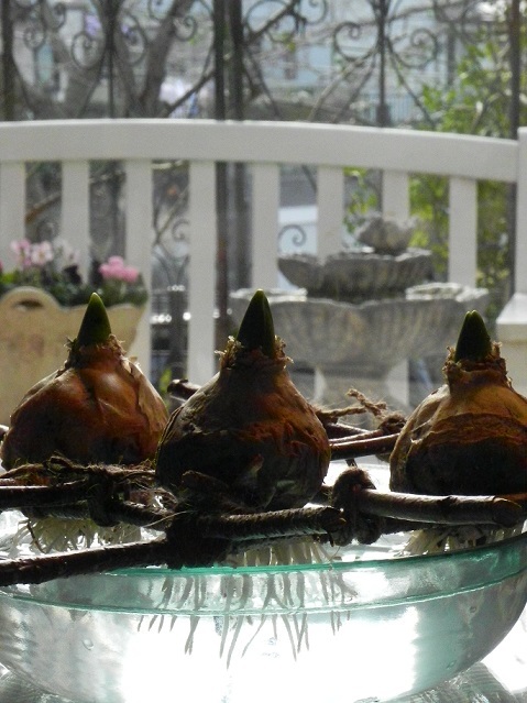c0152002_18134319.jpg