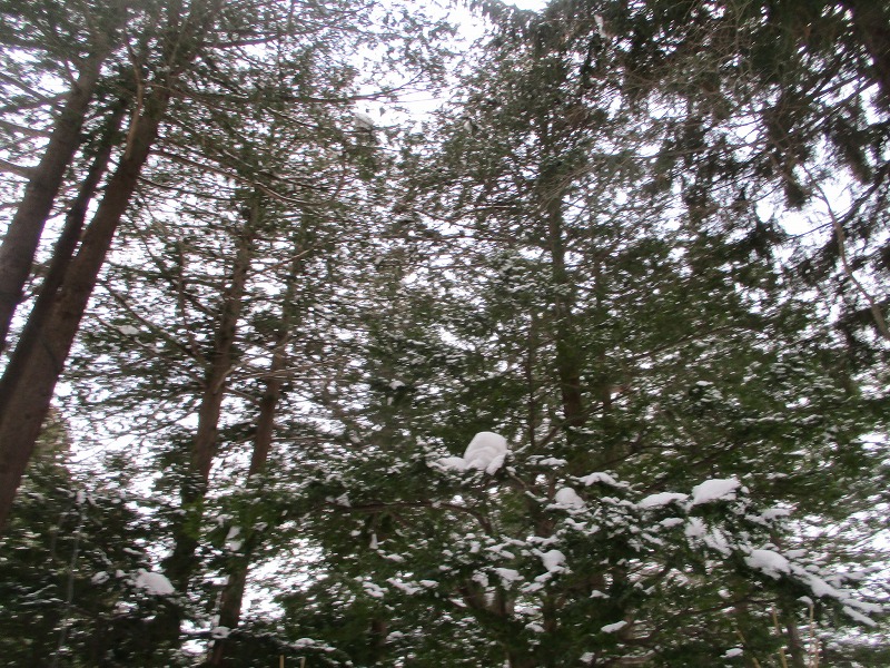 f0202703_148842.jpg