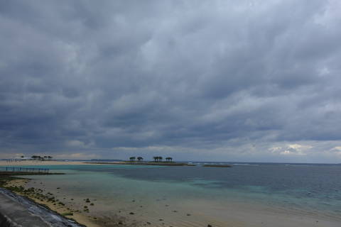b0069604_17450819.jpg