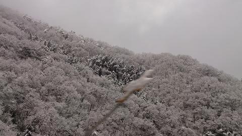 c0098807_0113871.jpg