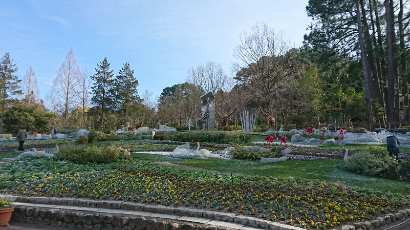 f0228619_1162567.jpg