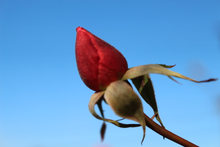 f0354923_00333901.jpg
