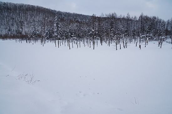 f0037227_1948716.jpg
