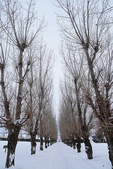 f0037227_1949738.jpg