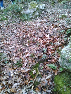f0151628_21590034.jpg