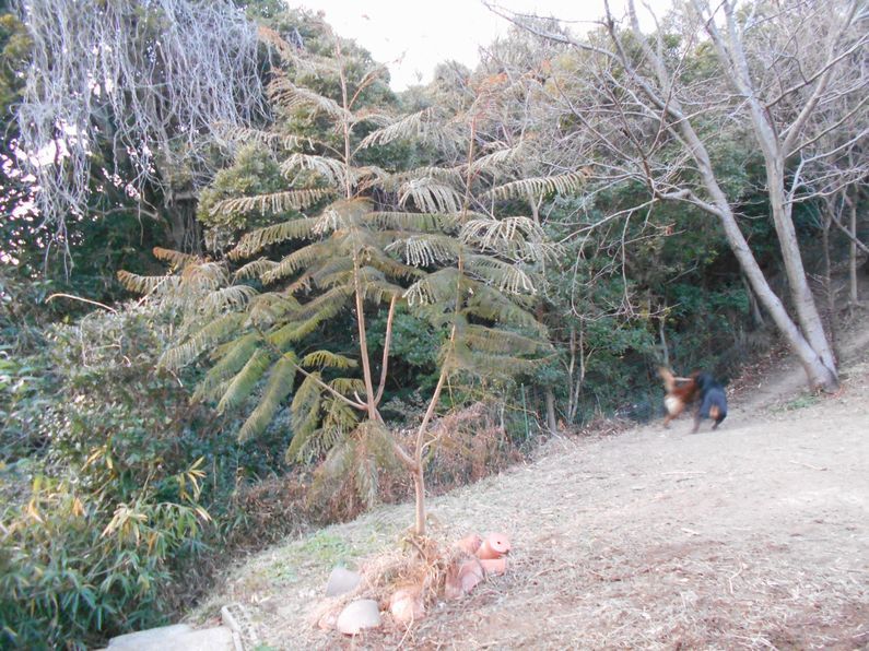 f0088731_01301254.jpg