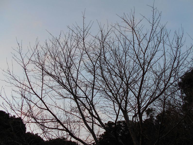 f0088731_01310084.jpg