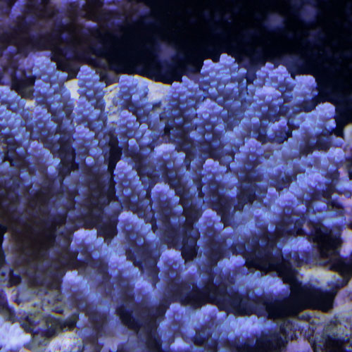 d0221436_211073.jpg