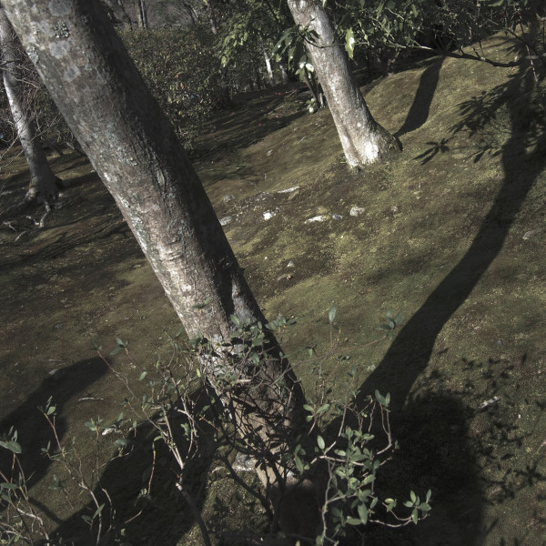 f0361341_15423765.jpg