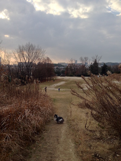 c0227245_23127100.jpg